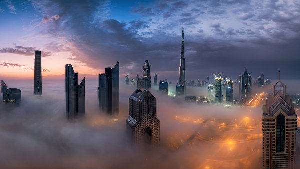 file_91228867