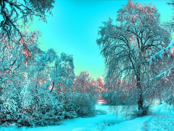 ЗИМА - СНЕГ 2