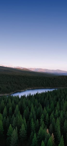 file_92765721