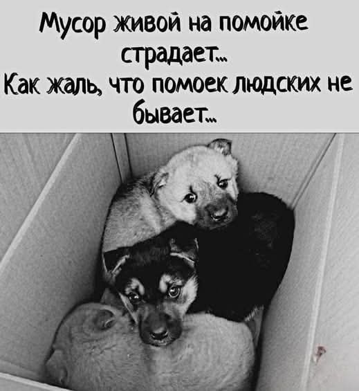 file_102753642