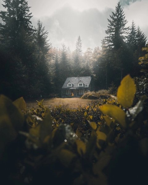 file_94718839