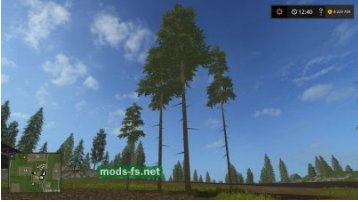 YY PineTree BasicSet