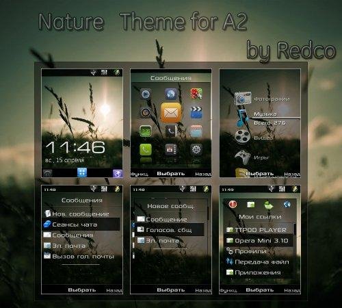nature