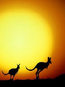 AFRIKA