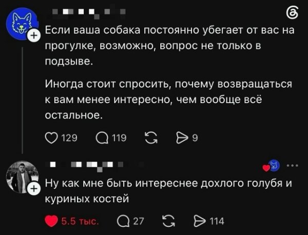 file_103360535