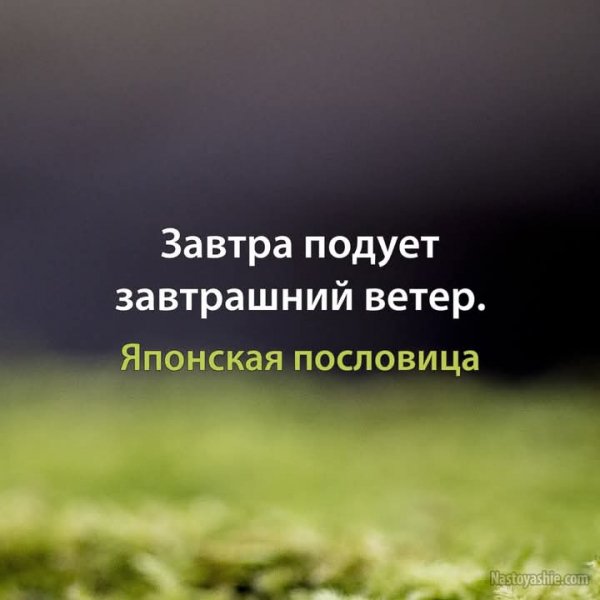 FB IMG 1760545205697