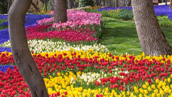 EmirganPark ROW8526066417 UHD