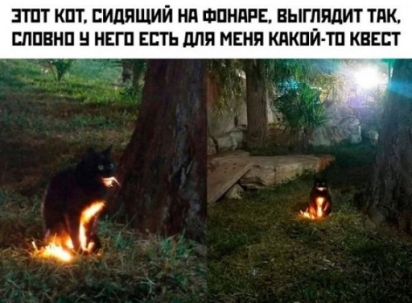 file_102734244