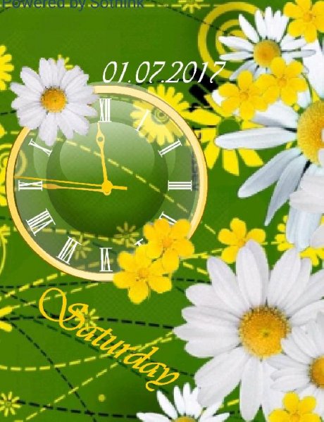Ромашковое лето