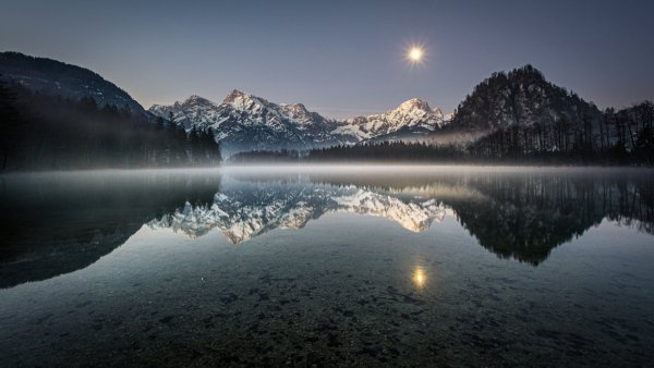 file_96434611