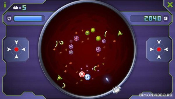 Bacterium