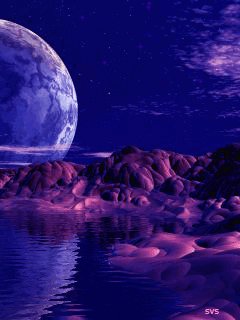 file_43557041