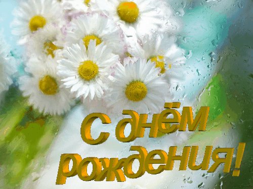 СДРРомашки