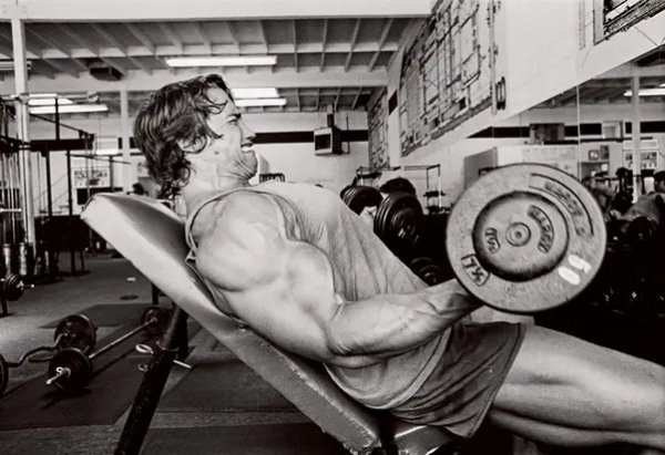 Programme-arnold-schwarzenegger-bras