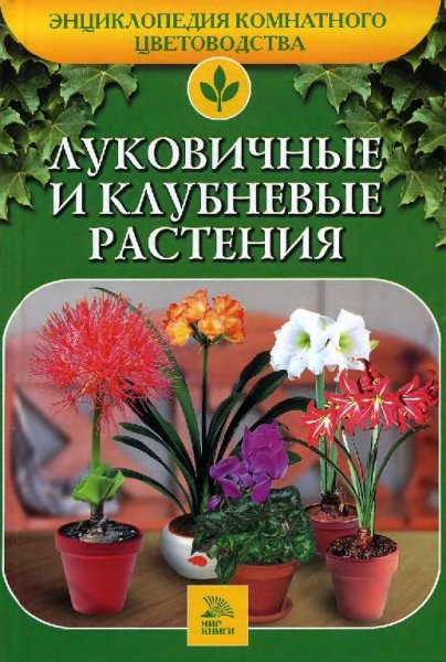 Луковичные и клубневые растения