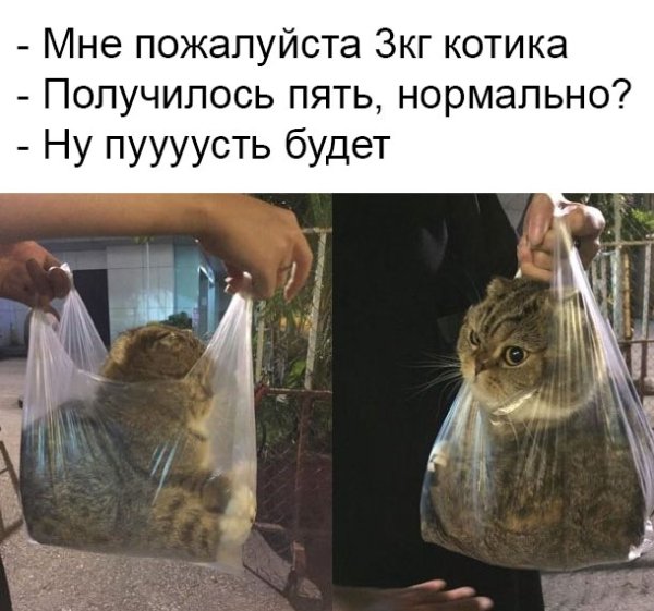 file_101808856