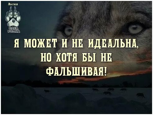 Волк