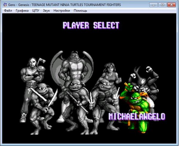 TeenageMutantNinjaTurtlesTournamentFight