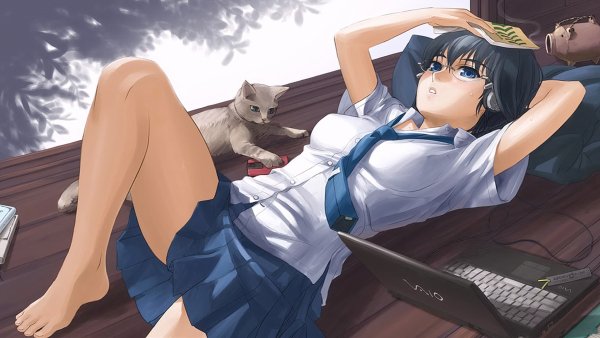 (252)