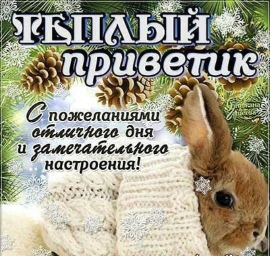 file_75701369