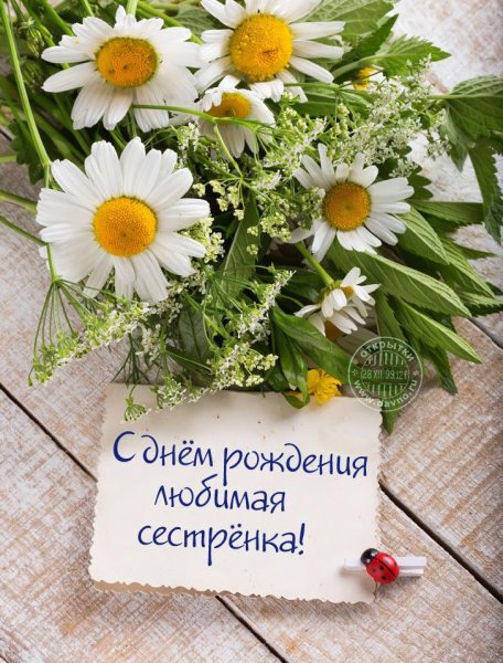 Яркая-картинка-с-днем-рождения-сестренка-6