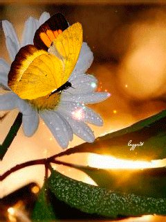 file_51866096