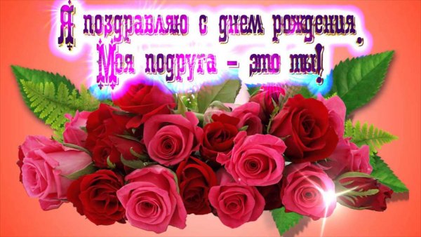 file_81237168