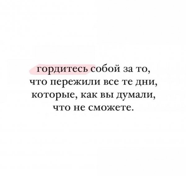 FB IMG 1771517074813