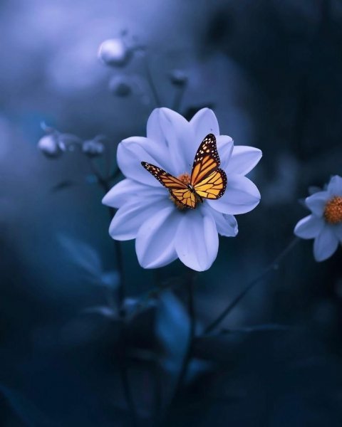 file_89247066