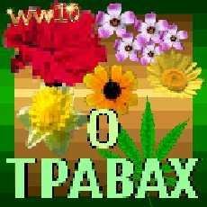 О травках