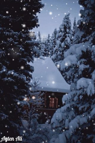 Dd78707250f5d7e011da7682fd5580bf
