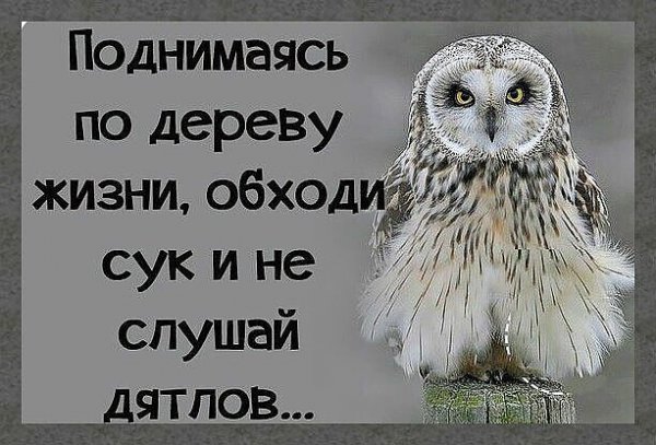 IMG 20260111 210652