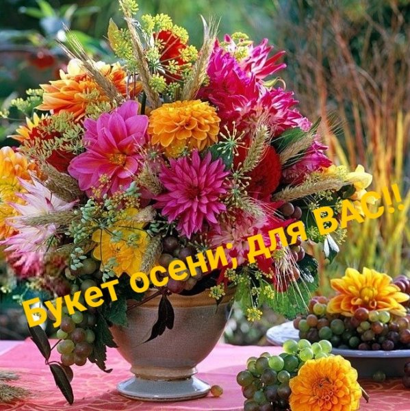 bILUzhjfZ9M