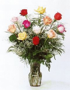 file_86275034