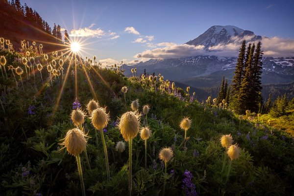 Mount-rainier-national-park-washington-state-cascade-range-1