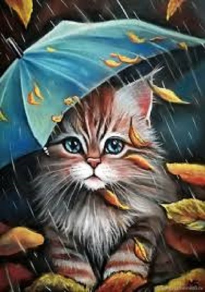Кот под зонтом (10)