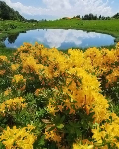 Красиво