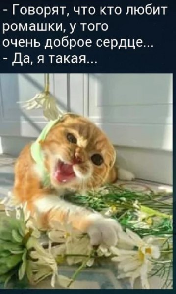 Да, я такая...