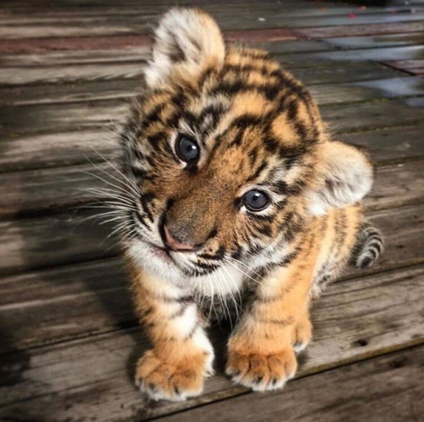 IMG 20210225 163559