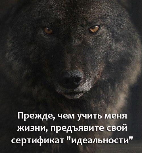 Прежде