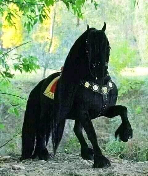 FB IMG 15898996191068721