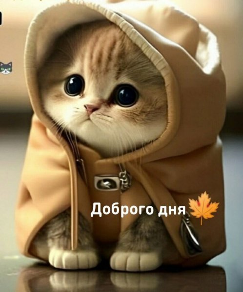 IMG 20241023 141202