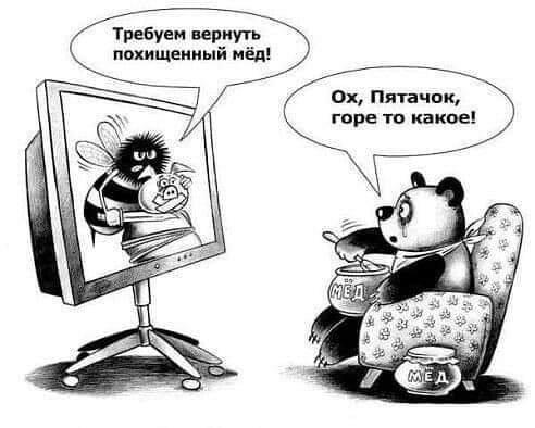 FB IMG 1730747543894
