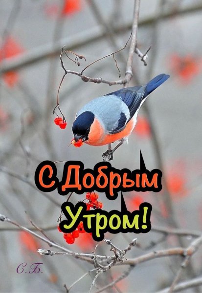 file_93204413