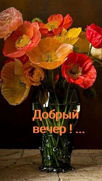 file_93231111