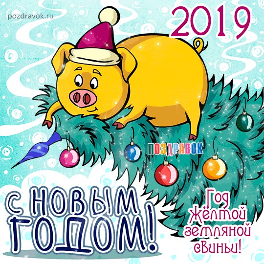 novyy-god-svinya-2019-otkrytka
