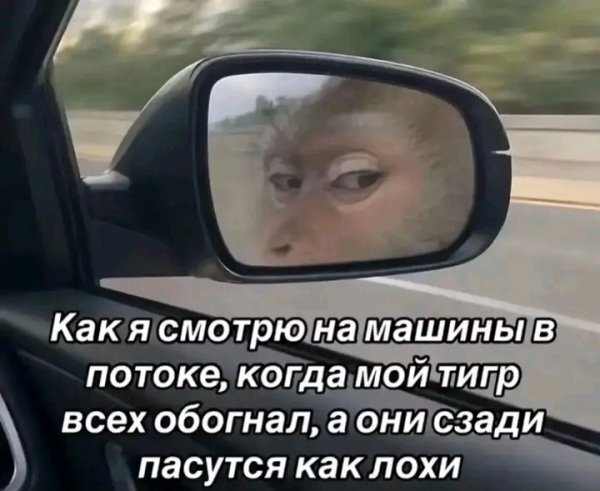 file_103370329