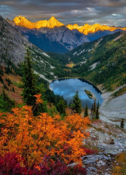 y-portrait-display-island-sunset-pine-trees-1484037