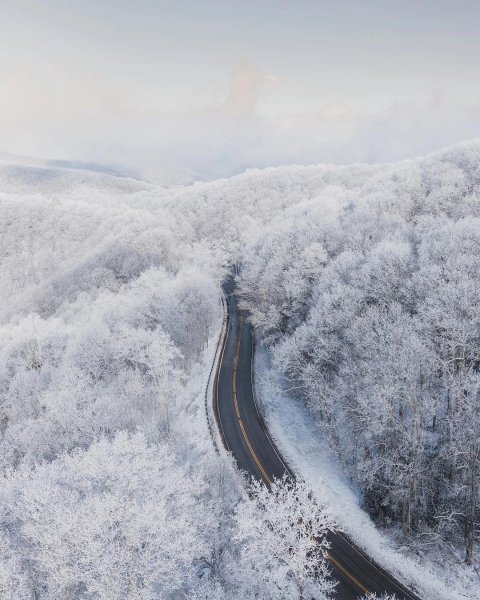 file_101012914