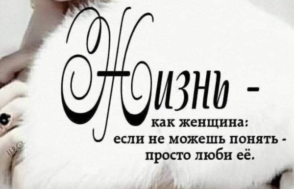 Screenshot 2024-02-19-05-00-25-462 com.facebook.katana-edit